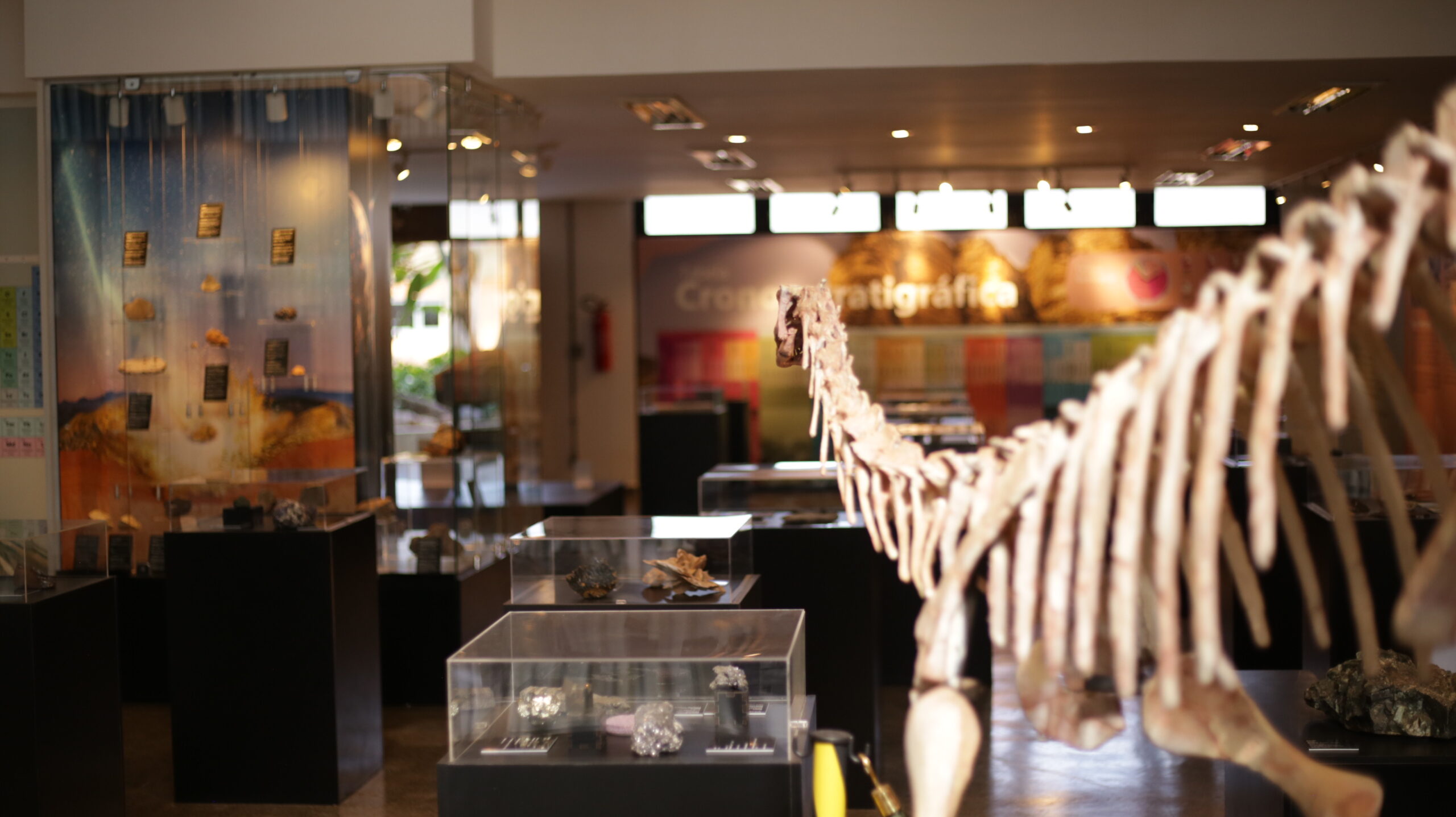 Visão geral do Museu de Geologia.