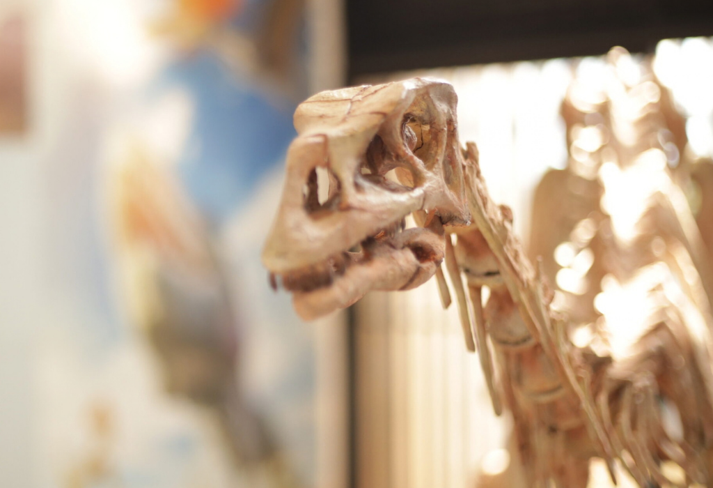 Museu (14)