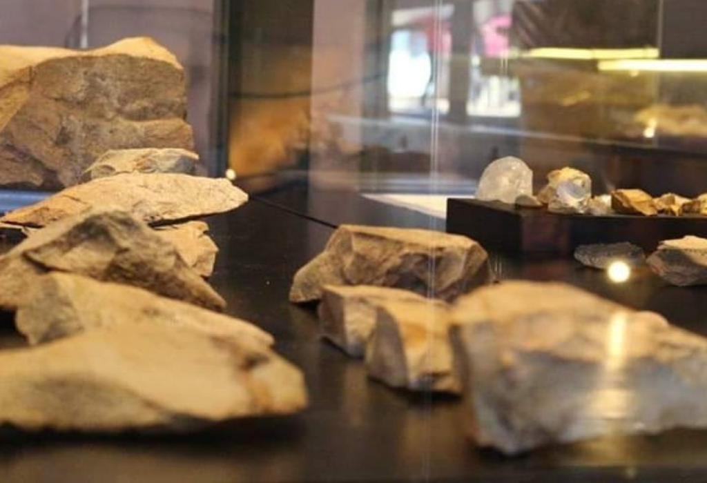 Museu (4)